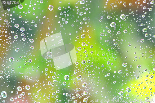 Image of Drops of rain on the glass 