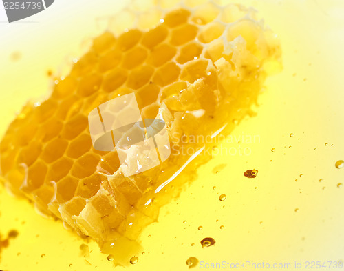 Image of Honeycomb flow