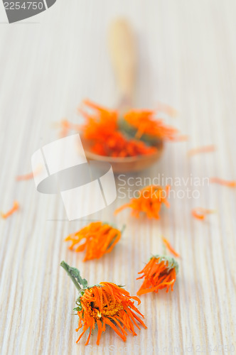 Image of marigold herbal tea 