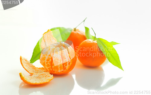 Image of mandarin with leaf 