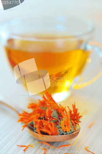 Image of marigold herbal tea