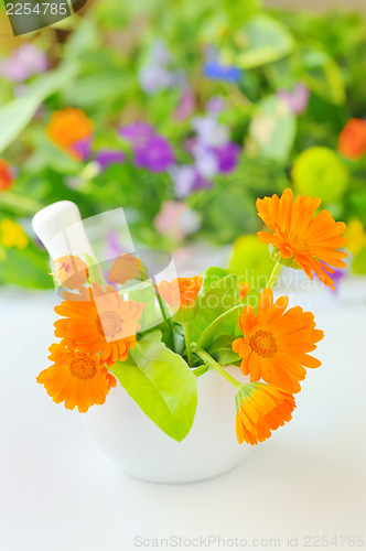 Image of Calendula flowers and mortar