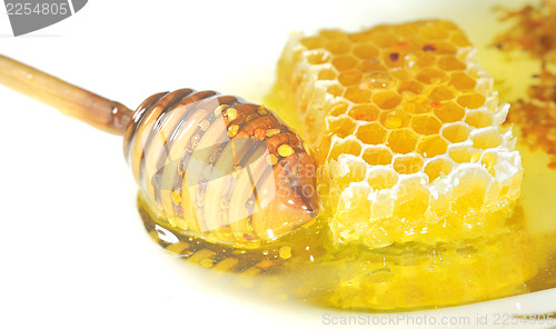 Image of Natural Honeycomb 