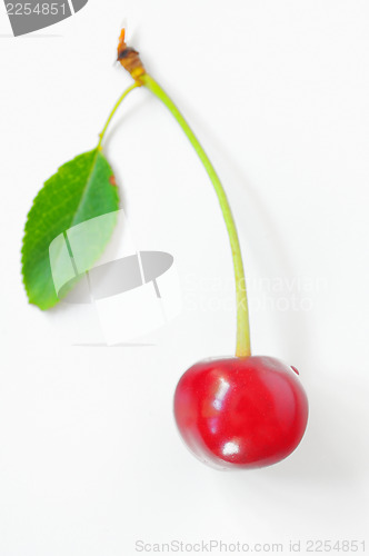Image of ripen cherries on a white background