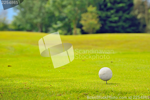 Image of Golf ball on tee