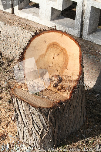 Image of Stub