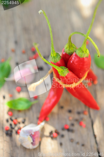 Image of bunch of red chilies 