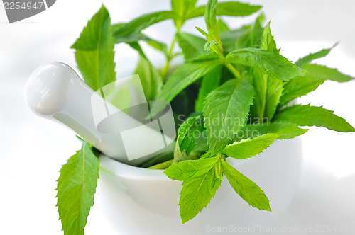 Image of Mortar and mint leaves