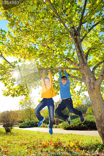 Image of boys hanging from branch of tree