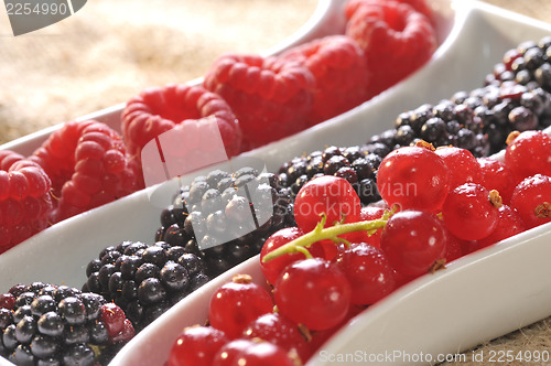 Image of fresh berries