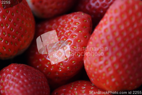 Image of Strawberries