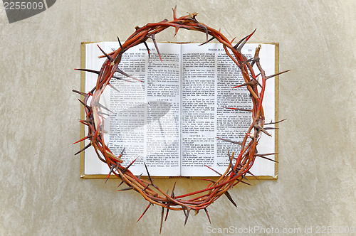 Image of crown of thorns on the Bible