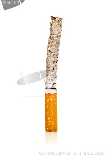 Image of Lighted cigarette