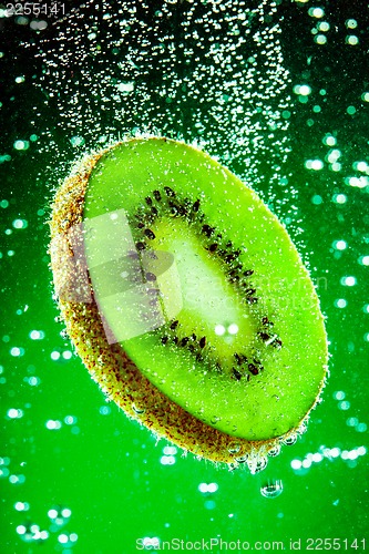 Image of Kiwi in water.