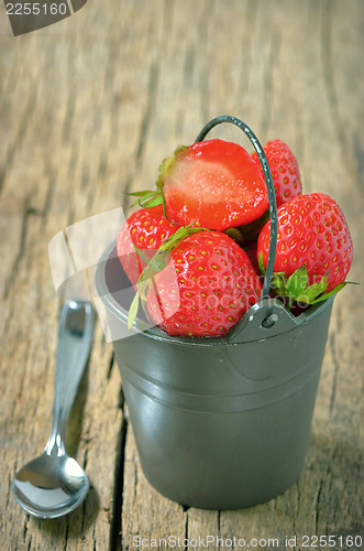 Image of Fresh strawberries in bucke