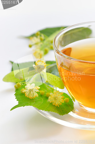 Image of linden tea