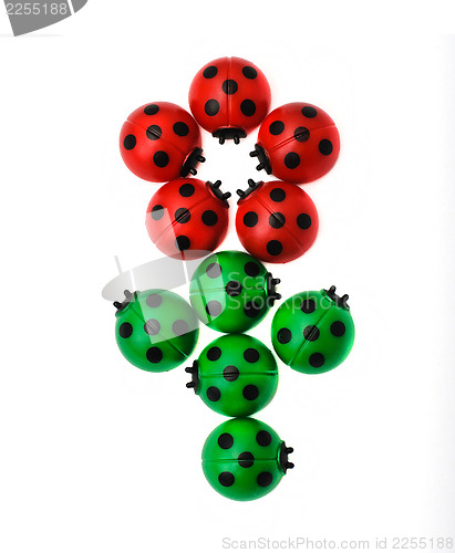 Image of Flower from ladybugs, isolated on white background