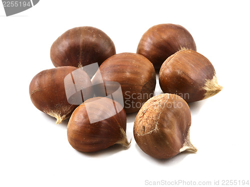 Image of Several chestnuts isolated on white background
