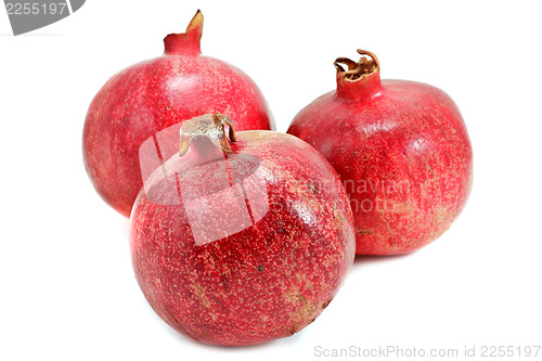 Image of Ripe pomegranates isolated on white background