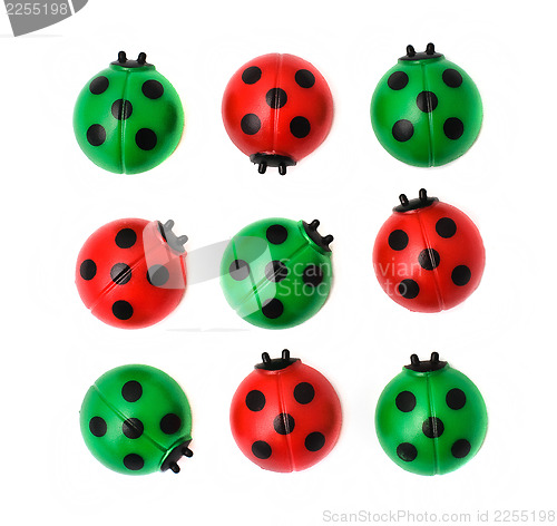 Image of Group of ladybugs, isolated on white background