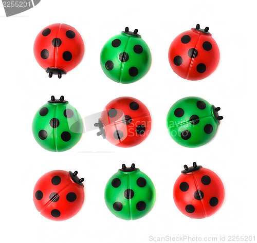 Image of Group of ladybugs, isolated on white background