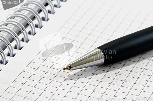 Image of Ballpoint pen on checked notebook paper