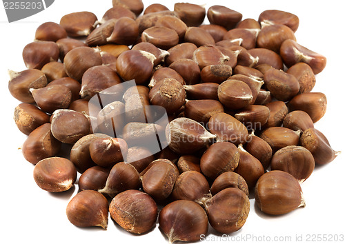 Image of Heap of chestnuts isolated on white background