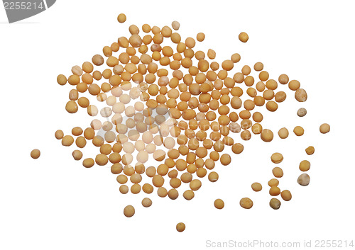 Image of Mustard seeds