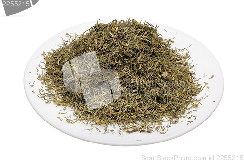 Image of Dill