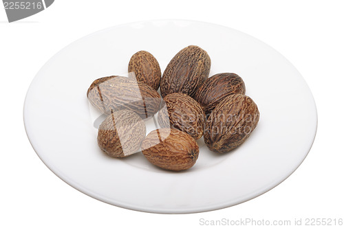 Image of Nutmeg