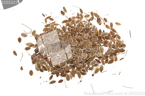 Image of Fennel seeds