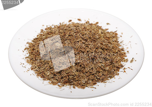 Image of Fennel seeds