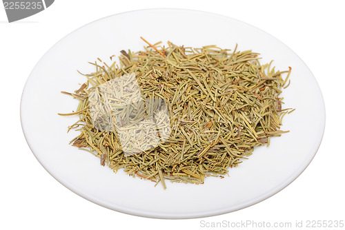 Image of Rosemary