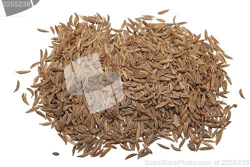 Image of Cumin seeds