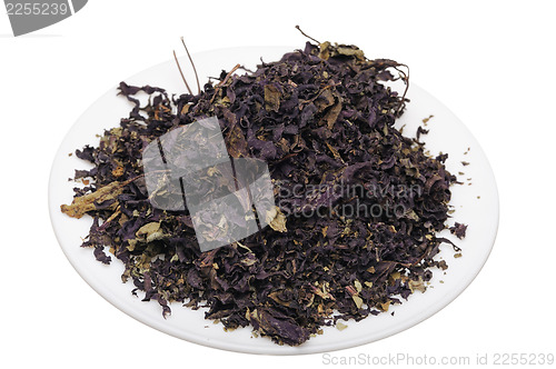 Image of Basil