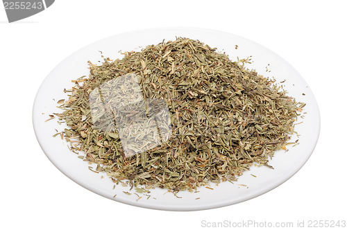 Image of Thyme