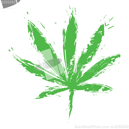 Image of Cannabis leaf