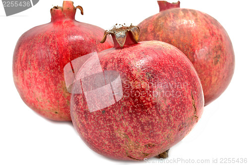 Image of Ripe pomegranates isolated on white background