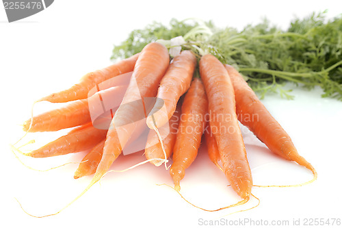 Image of early carrot