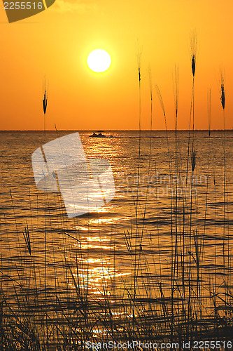 Image of Yucatan Peninsula Beach