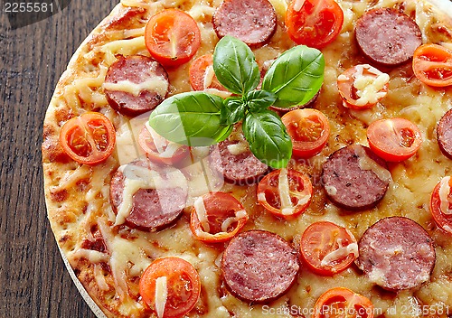 Image of Salami and tomato pizza