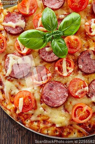 Image of Salami and tomato pizza