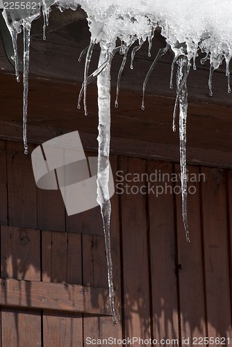 Image of The icicles.