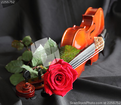Image of Violin