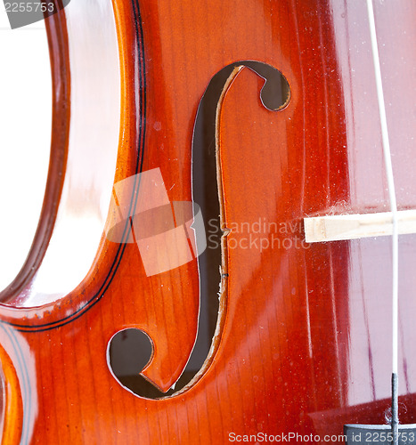 Image of Violin