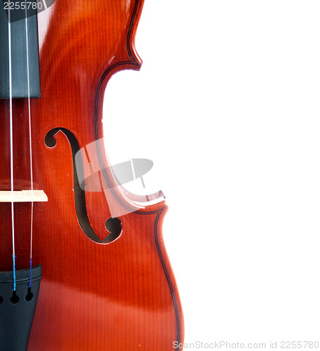 Image of Violin