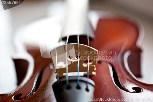 Image of Violin
