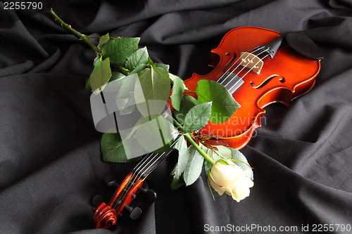 Image of Violin