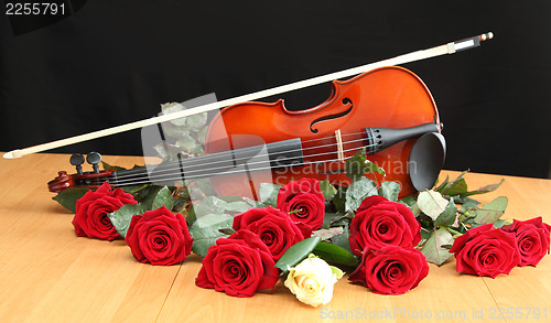 Image of Violin