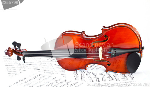 Image of violin